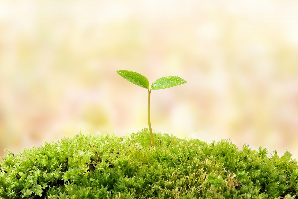 未経験歓迎！株式会社サーバントのエアコン工事で得られるやりがい